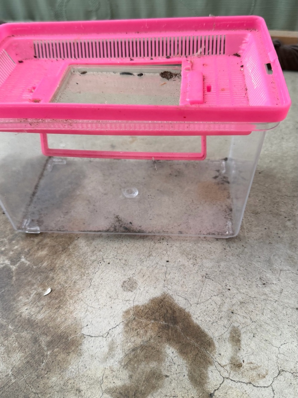 Small Pets Clear Plastic Travel Tank with Pink Ventilated Lid